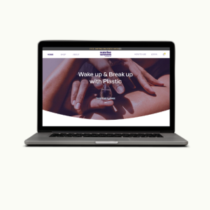 E-commerce Solutions 6 EFS Past Work 3 1 Evanic Freelancing Solutions