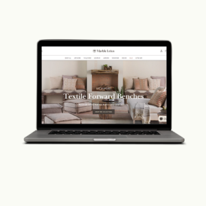 E-commerce Solutions 8 EFS Past Work 5 Evanic Freelancing Solutions