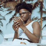 Artist Growth & Development 10 Lasmid Evanic Freelancing Solutions Lasmid - Evanic Freelancing Solutions